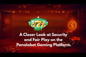 A Closer Look at Security and Fair Play on the Panalobet Gaming Platform.